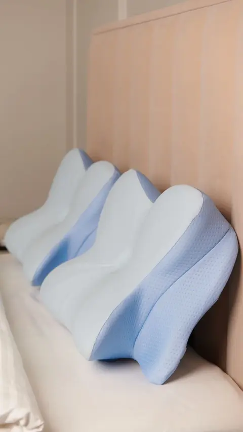 Two Derila Ergo Pillows resting against a headboard